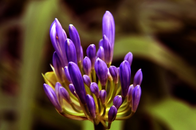 荷媒：利物浦有意阿尔克马尔新星斯密特，斯洛特对其很欣赏