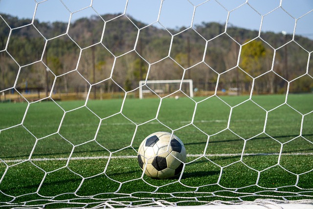 图片报：多特内部认为小贝林踢得过于保守，不过仍然信任他