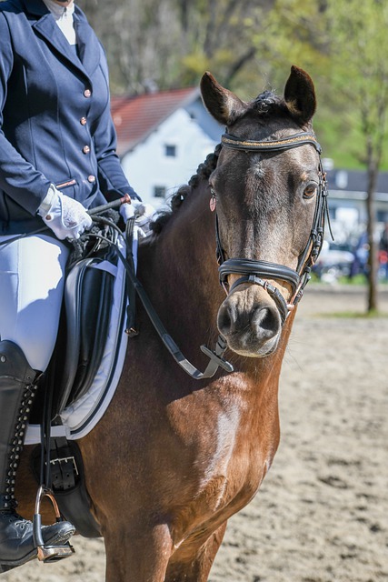 记者：16岁布基纳法索中场签约白堡，未来有望加盟切尔西
