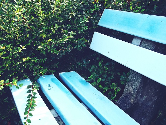 浙江队在面 浙江队在面