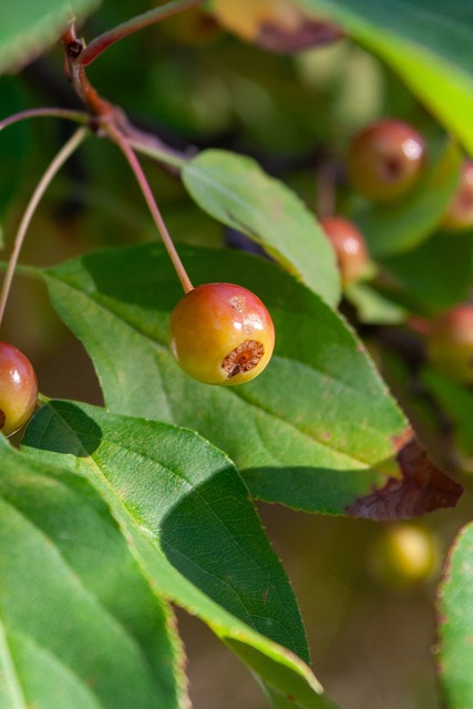 作的体现 作的体现